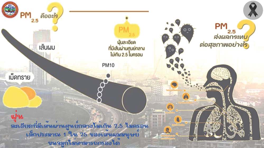 นำเสนอฝน ณ ธค68 Page 1 0