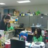 GreenOffice