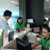 GreenOffice1